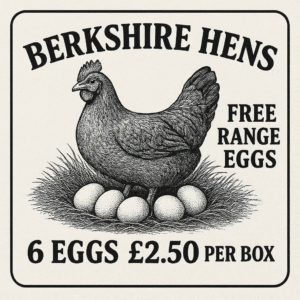 Berkshire Hens Fresh Free Range Eggs
